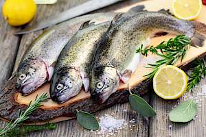 Trout - calories, kcal, weight, nutrition