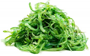 lettuce vs algae