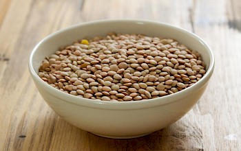 barley vs lentils