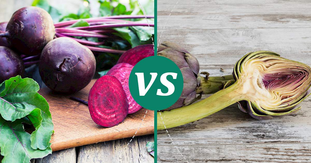 Artichoke vs Beetroot Nutrition Comparison