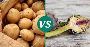 Artichoke - calories, kcal, weight, nutrition