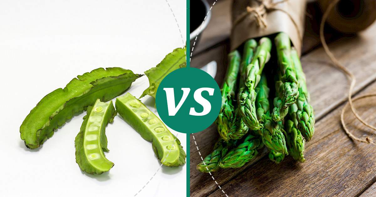 Asparagus vs Winged Bean Nutrition Showdown