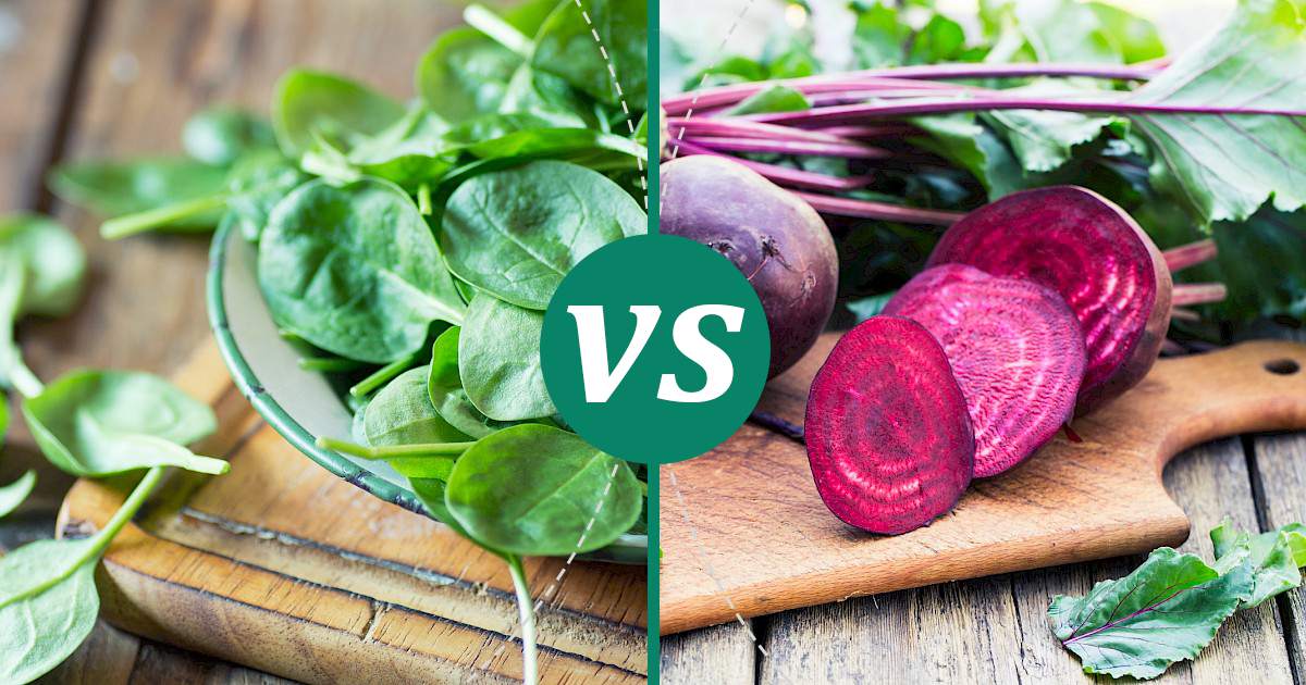 Beetroot vs Spinach Nutrition Comparison