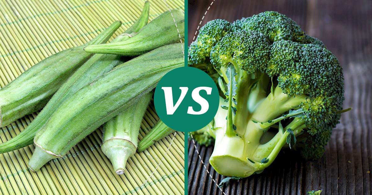 Broccoli vs Okra Nutrition Guide
