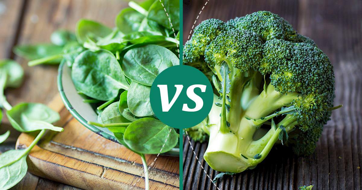 Broccoli vs Spinach Nutrition Comparison