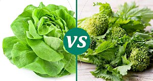 Rapini - calories, kcal, weight, nutrition