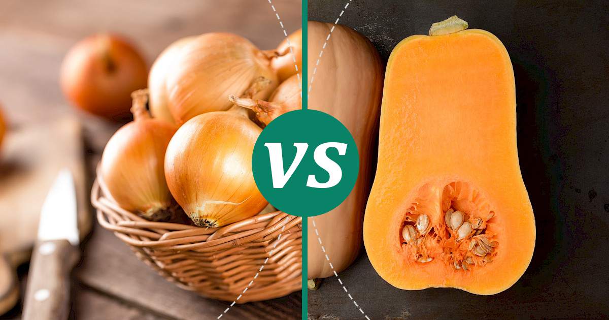 Butternut Squash vs Onion The Healthier Choice