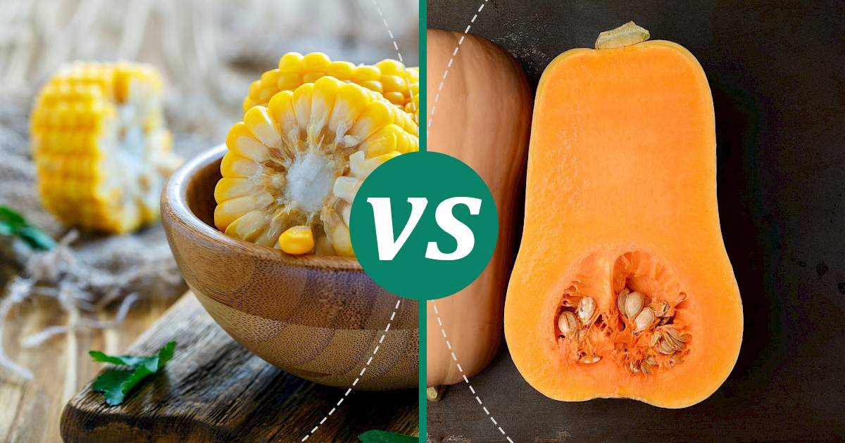 Butternut Squash vs Corn Make Healthy Choices