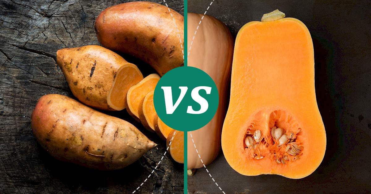 Butternut Squash vs Sweet Potato Health Insights