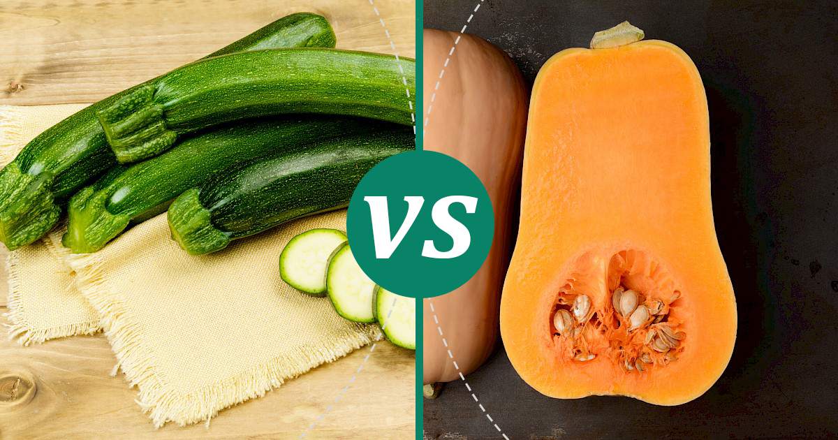 Butternut Squash vs Zucchini Make Healthy Choices