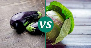 Cabbage - calories, kcal, weight, nutrition
