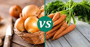 Carrot - calories, kcal, weight, nutrition