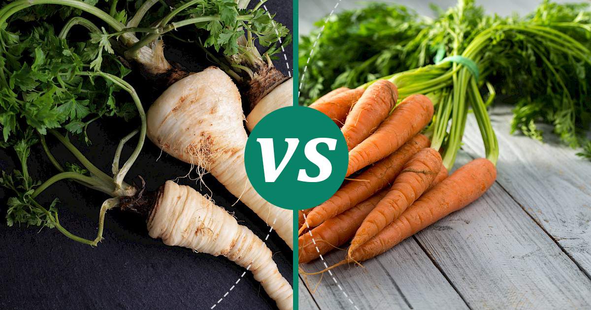 Carrot vs Parsnips Make Healthy Choices