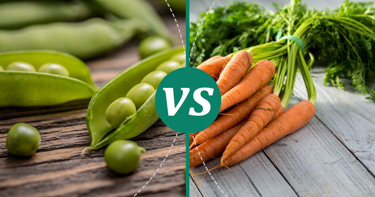 Carrot vs Peas Health Insights