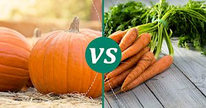 Carrot - calories, kcal, weight, nutrition