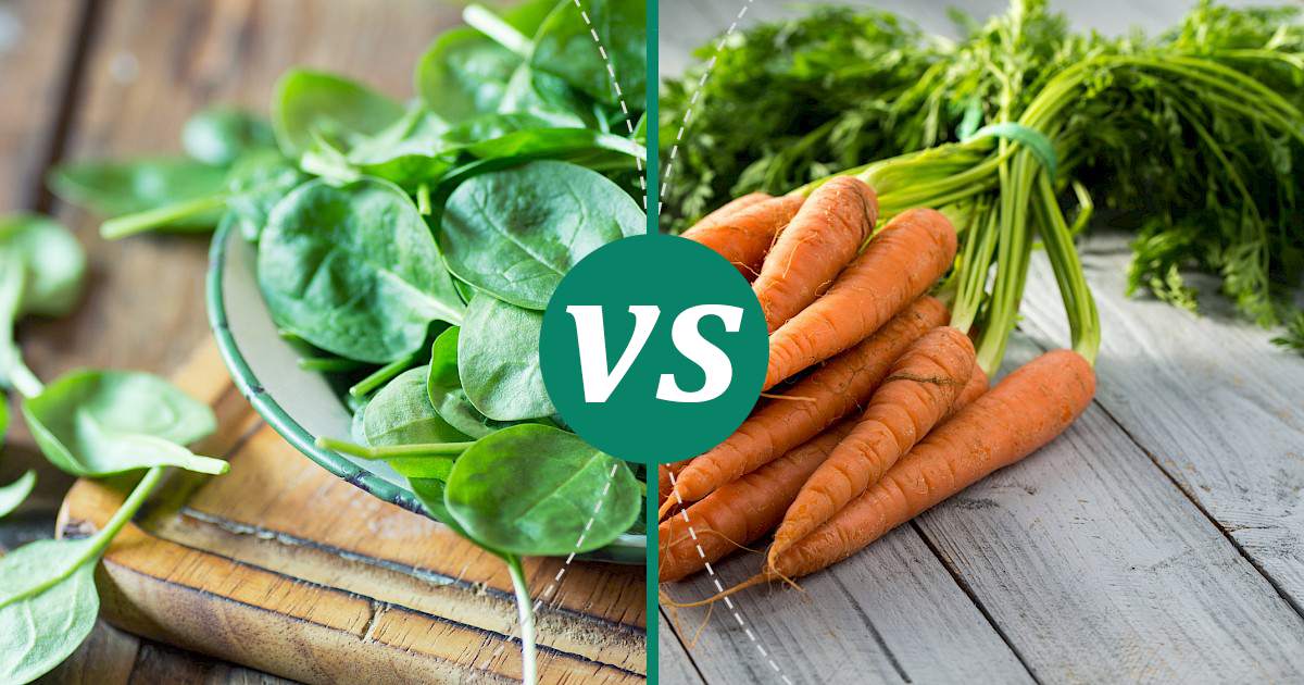 Carrot vs Spinach What Should You Choose?