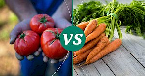 Carrot - calories, kcal, weight, nutrition