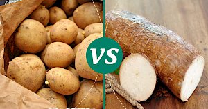 Cassava - calories, kcal, weight, nutrition