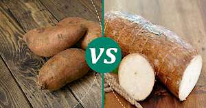 Cassava - calories, kcal, weight, nutrition