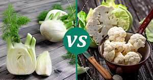 Cauliflower - calories, kcal, weight, nutrition