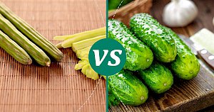 Cucumber - calories, kcal, weight, nutrition