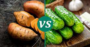 Cucumber - calories, kcal, weight, nutrition