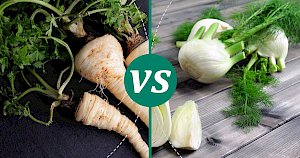 Fennel - calories, kcal, weight, nutrition
