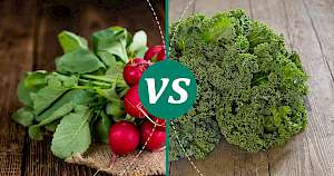 Kale - calories, kcal, weight, nutrition
