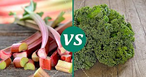 Kale - calories, kcal, weight, nutrition