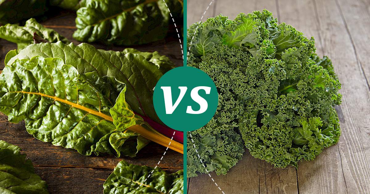 Kale vs Chard Health Insights