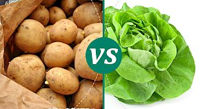 Lettuce - calories, kcal, weight, nutrition