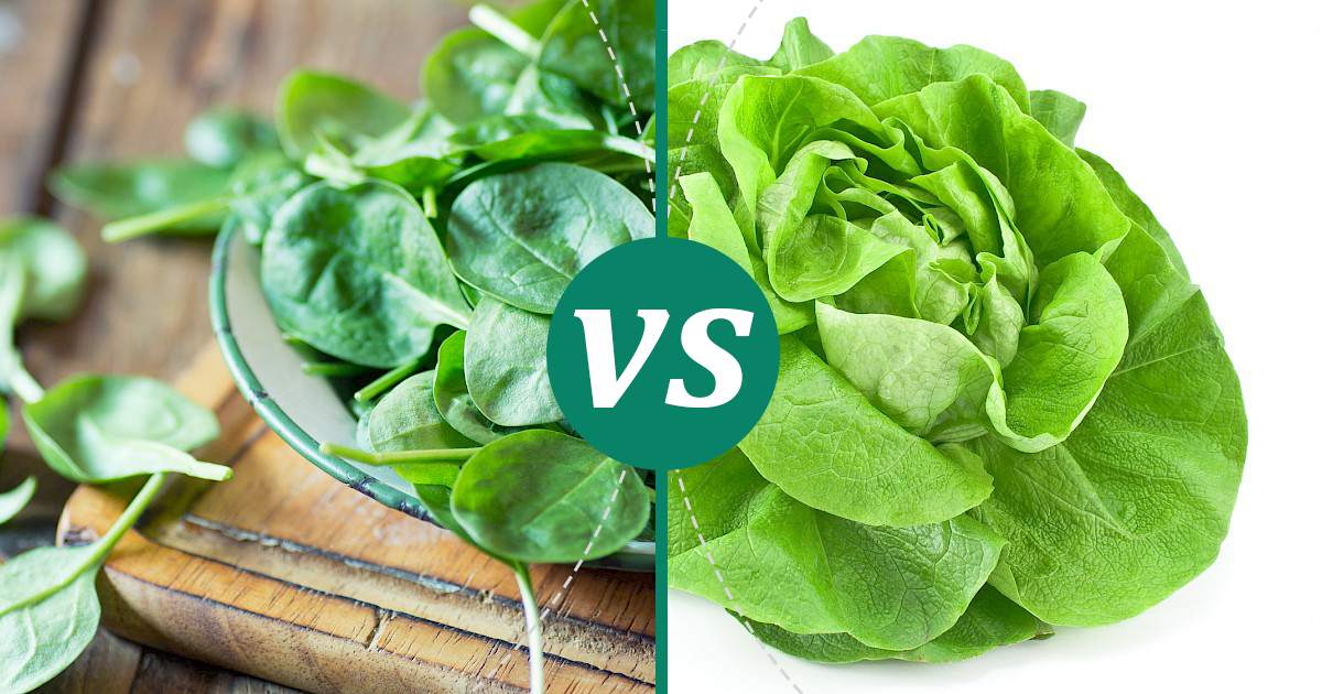 Lettuce vs Spinach Make Healthy Choices