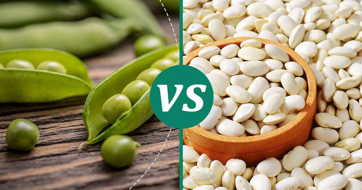 Lima Beans vs Peas Nutrition Comparison