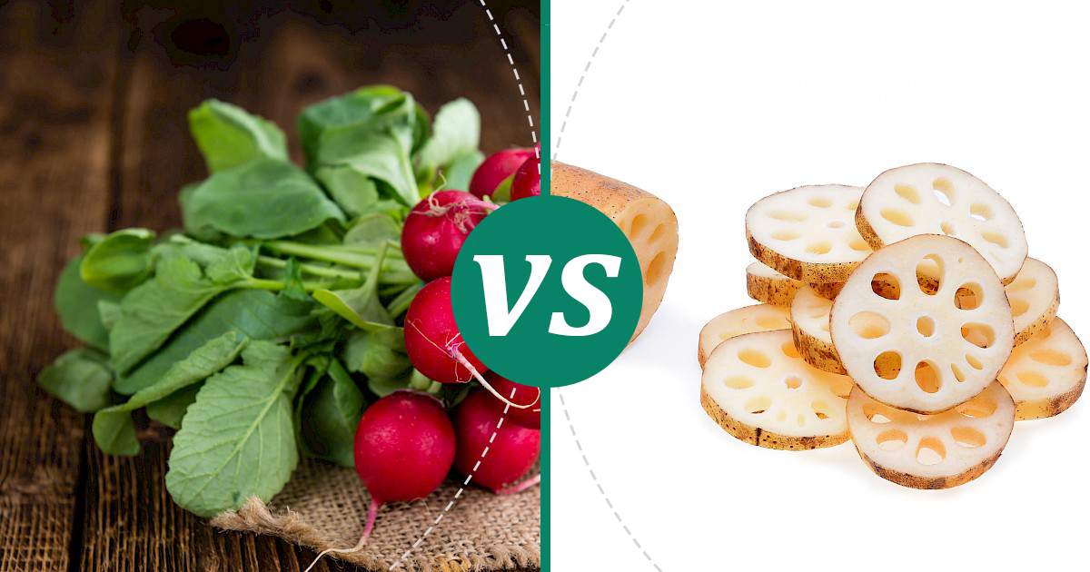 Lotus Root vs Radish Nutrition Comparison