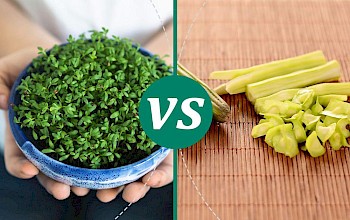 moringa vs watercress - calories, nutrition, weight