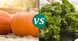 Mustard greens - calories, kcal, weight, nutrition