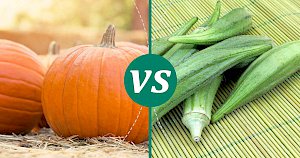 Okra - calories, kcal, weight, nutrition