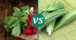 Okra - calories, kcal, weight, nutrition