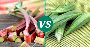 Okra - calories, kcal, weight, nutrition