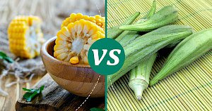 Okra - calories, kcal, weight, nutrition