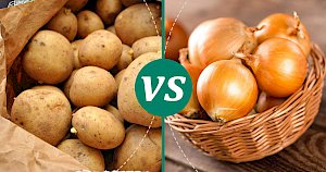 Onion - calories, kcal, weight, nutrition
