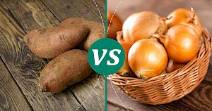 Onion - calories, kcal, weight, nutrition