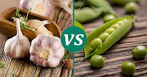 Peas - calories, kcal, weight, nutrition