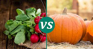 Pumpkin - calories, kcal, weight, nutrition