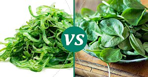 Spinach - calories, kcal, weight, nutrition