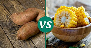 Corn - calories, kcal, weight, nutrition