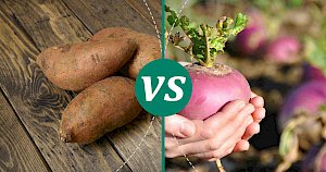 Turnip - calories, kcal, weight, nutrition