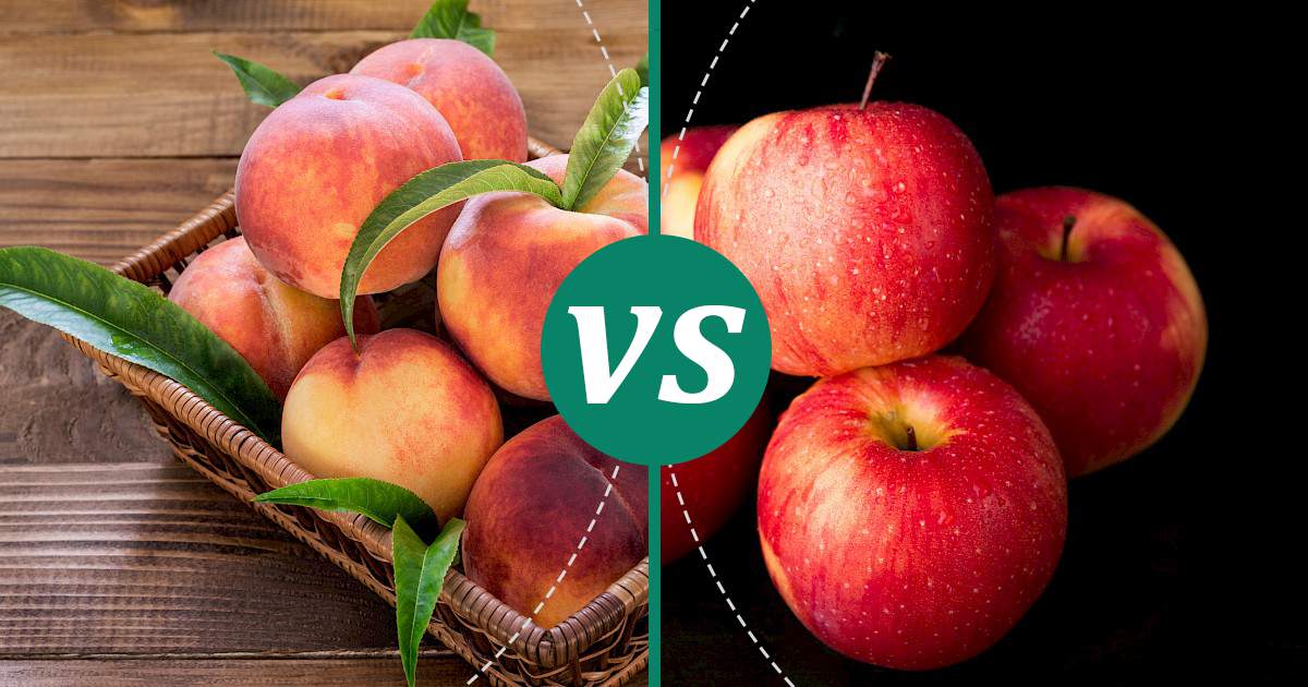 Apple vs Peach Nutrition Guide
