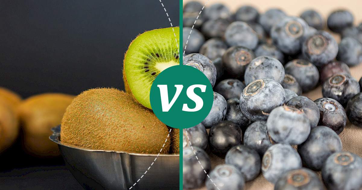 Blueberries vs Kiwi What Should You Choose?