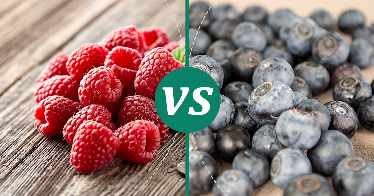Blueberries vs Raspberry Choose Wisely